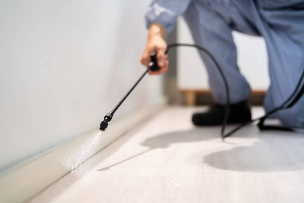 Licensed Pest Control service in Shadyside, OH - Show Me Pest Control