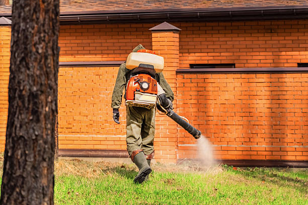 Bed Bug Clearance Verification and Documentation in Shadyside